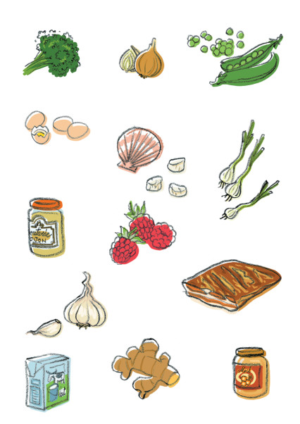 13-dessins d'ingrédient pour un livre de recette promotionnel
